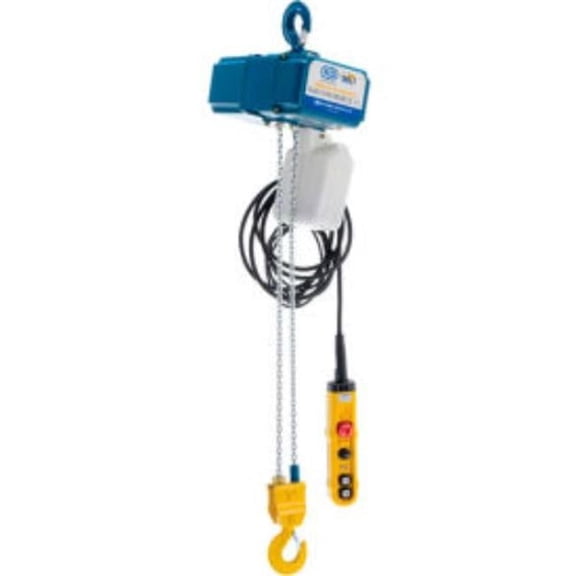 0-20 FPM, 220V & 0.5 Ton Variable Speed Electric Chain Hoist with 13 ft. Lift