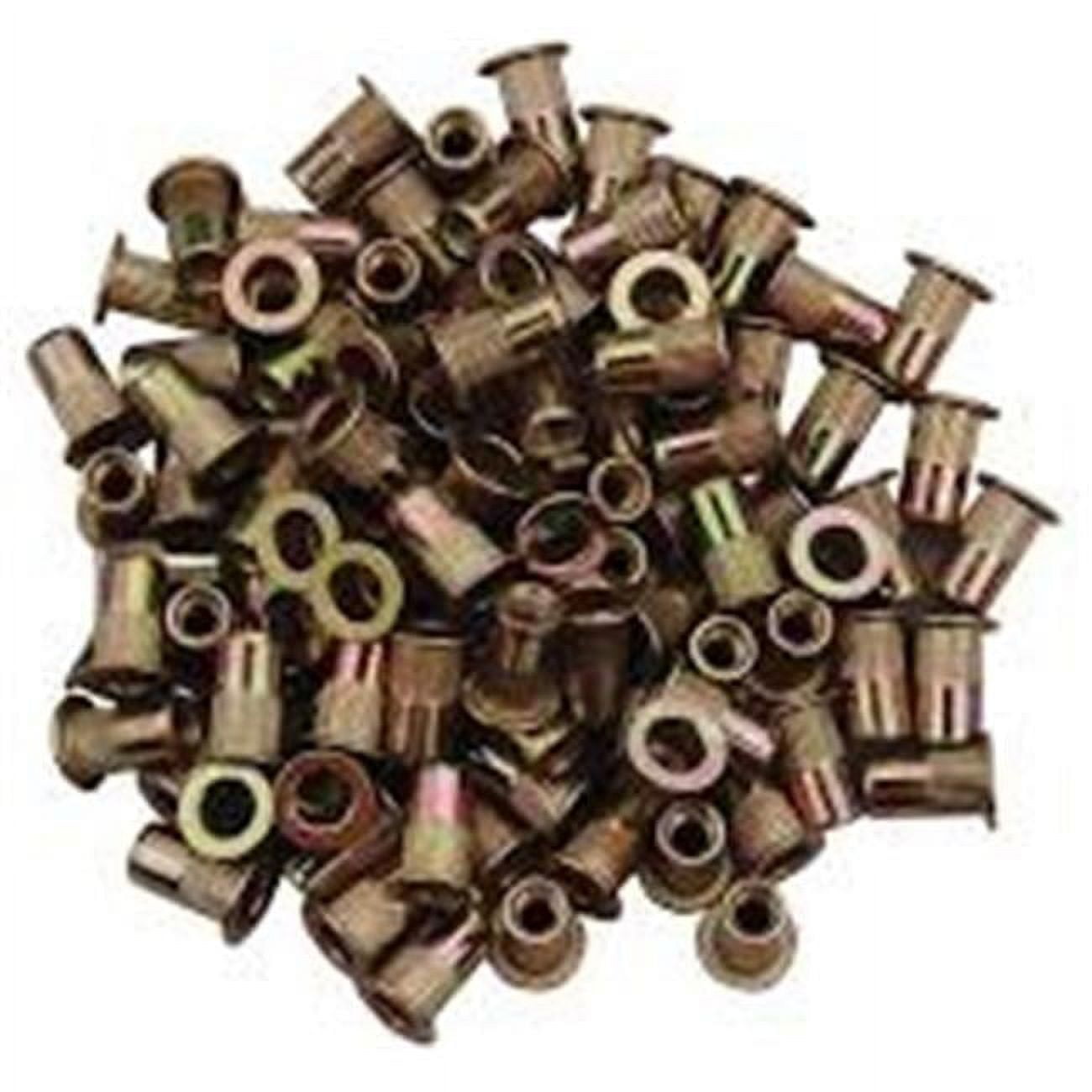 0.25 in. -20 Zinc-Plated Steel Rivet Nuts - Pack of 100