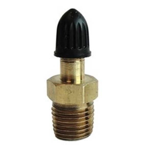 0.25 in. Air Valve