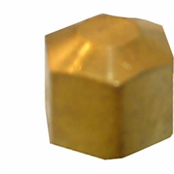 0.25 in. Brass Compression Cap