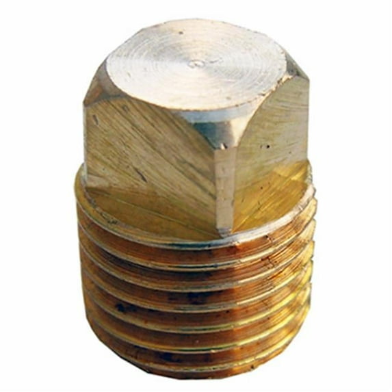 0.25 in. Male Pipe Thread Brass Square Head Plug