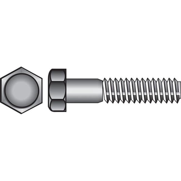 0.25 x 0.5 in. NC Stainless Steel Hex Bolt