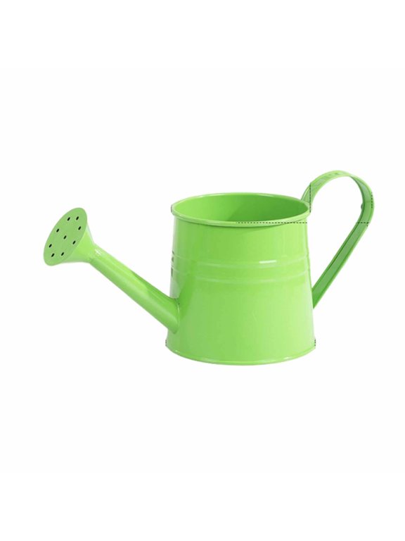 0.26 Gal Rustic Galvanized Metal Watering Can, Long Spout for Indoor Outdoor House Flower Garden Decor, Vintage Small Cans for Home Kitchen Planter Wedding Centerpiece Easter Mother Day