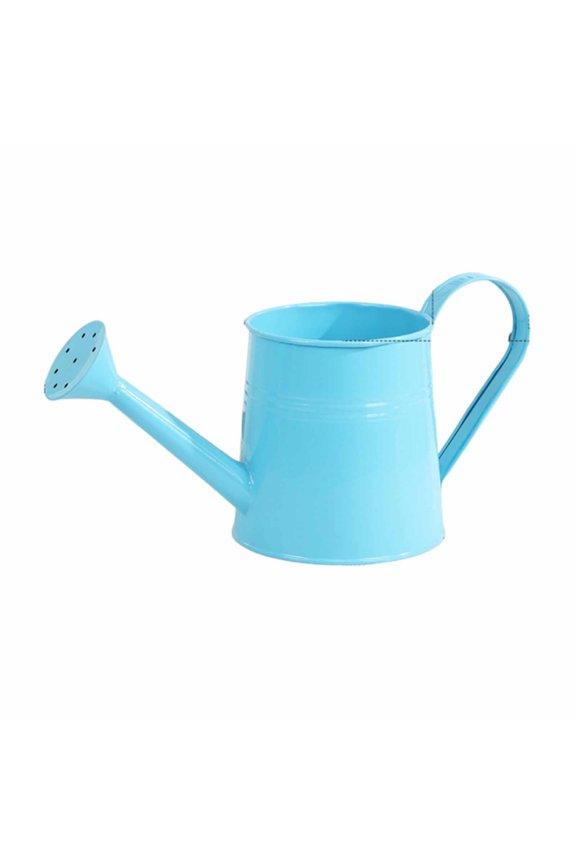 0.26 Gal Rustic Galvanized Metal Watering Can, Long Spout for Indoor Outdoor House Flower Garden Decor, Vintage Small Cans for Home Kitchen Planter Wedding Centerpiece Easter Mother Day
