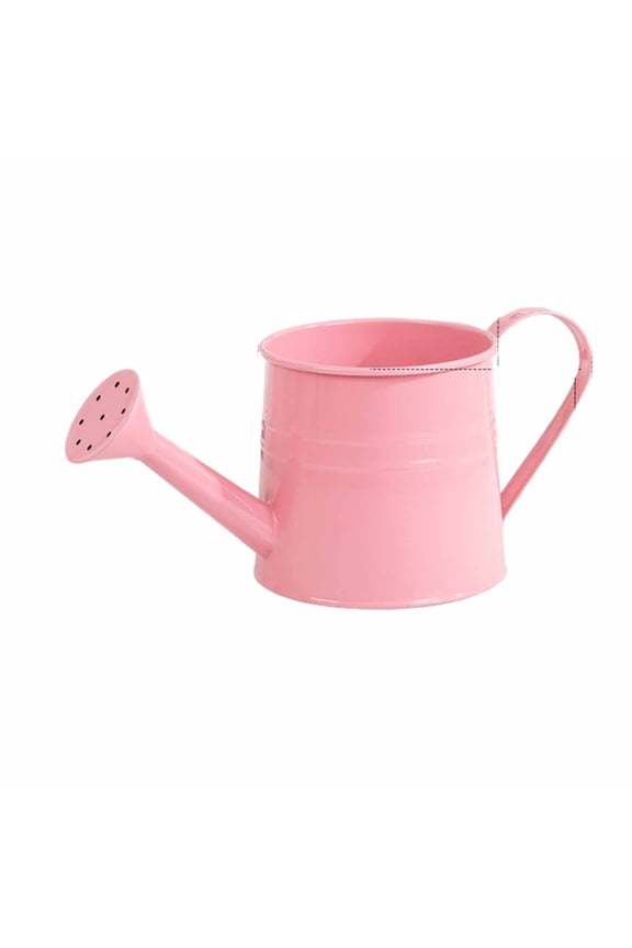0.26 Gal Rustic Galvanized Metal Watering Can, Long Spout for Indoor Outdoor House Flower Garden Decor, Vintage Small Cans for Home Kitchen Planter Wedding Centerpiece Easter Mother Day