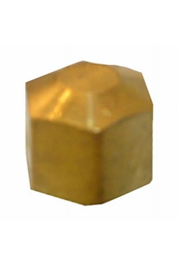 0.312 Brass Compresion Cap