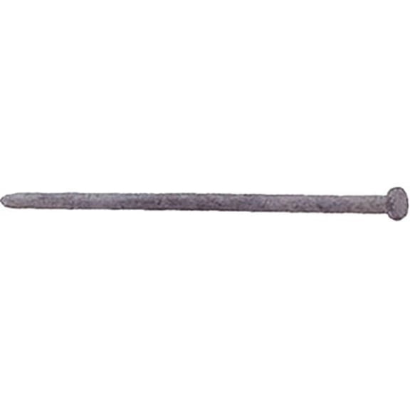 0.37 x 8 in. Hot Galvanized Spikes, 50 lbs