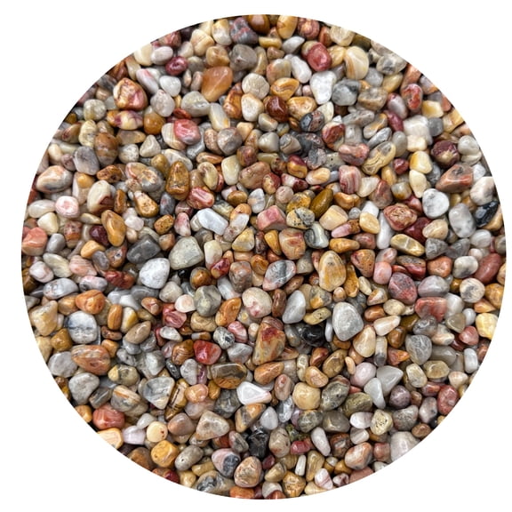 0.5 Pound Natural Semi Tumbled Crazy Lace Agate Gemstone Chips, Crushed Mini Crystals, Undrilled Crystal Chips (Crazy Lace Agate)