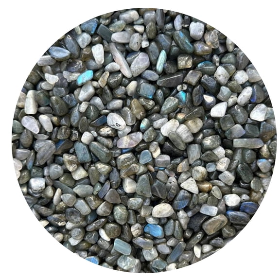 0.5 Pound Natural Semi Tumbled Labradorite BLue Gemstone Chips, Crushed Mini Crystals, Undrilled Crystal Chips (Labradorite Blue)