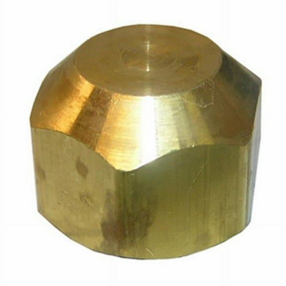 0.5 in. Brass Flare Cap