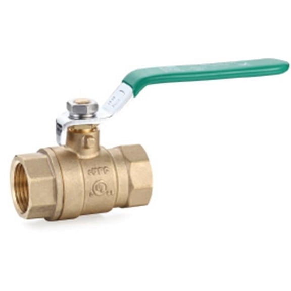 0.5 in. FIP Ball Valve