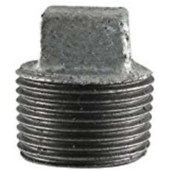 0.5 in. Galvanized Pipe Plug