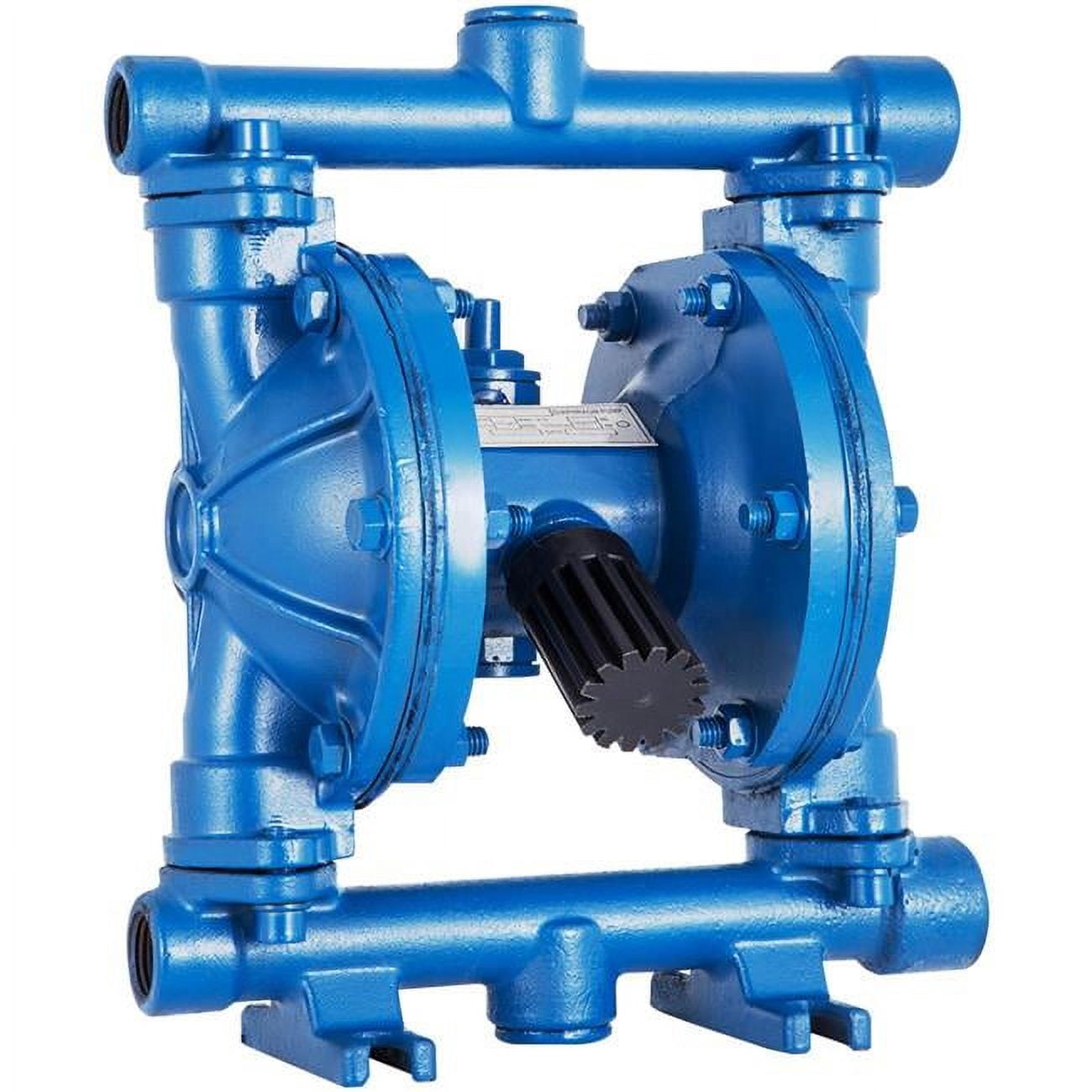 0.5 in. Inlet & Outlet Air-Operated Double Diaphragm Pump, Blue ...
