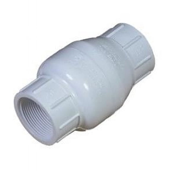 0.5 in. Swing FPT Check Valve