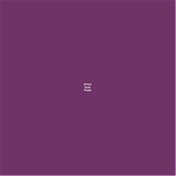 0.5 oz Master Series Paint Bones Dropper Bottle, Runic Purple