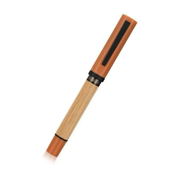 0.5mm Pen Wood Fountain Pen for Teacher Students Smooth Writing Pen Stationery Pen Business Pen