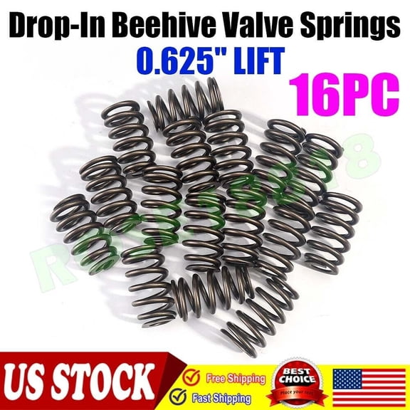 0.625" LIFT VALVE SPRINGS PAC1219 For GM LQ9 LQ4 LS LS1 LS2 LS3 4.8 5.3 6.0 6.2L