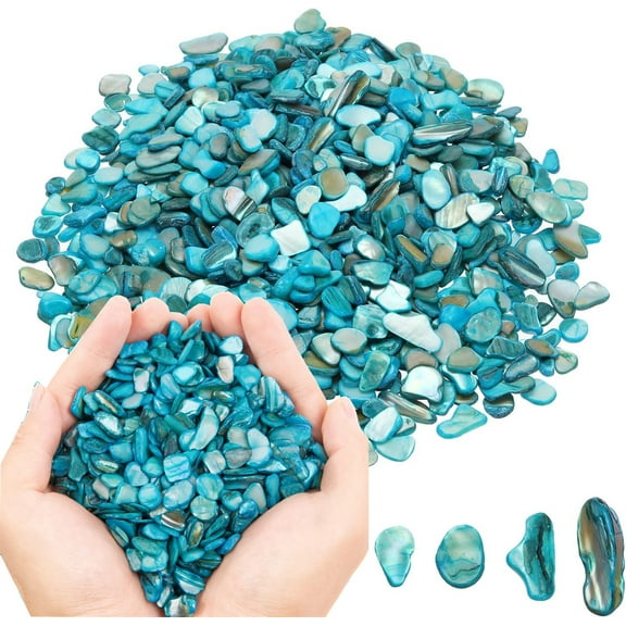 0.66lb/300g Crushed Shells for Crafts,Bexikou Small Natural Sea Shells for DIY Art, Vase Fillers Table Scatter, Party Favor, Wedding Decoration, Succulents Plants Soil Cover, Art Crafts (Lake Blue)