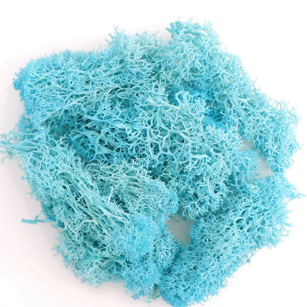 0.7 oz Fake Moss Eternal Moss Preserved Reindeer Moss for Fairy Garden