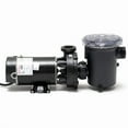 thumbnail image 1 of 0.75 HP Hi-Flo Above Ground Pool Pump & Trap, 1 of 1