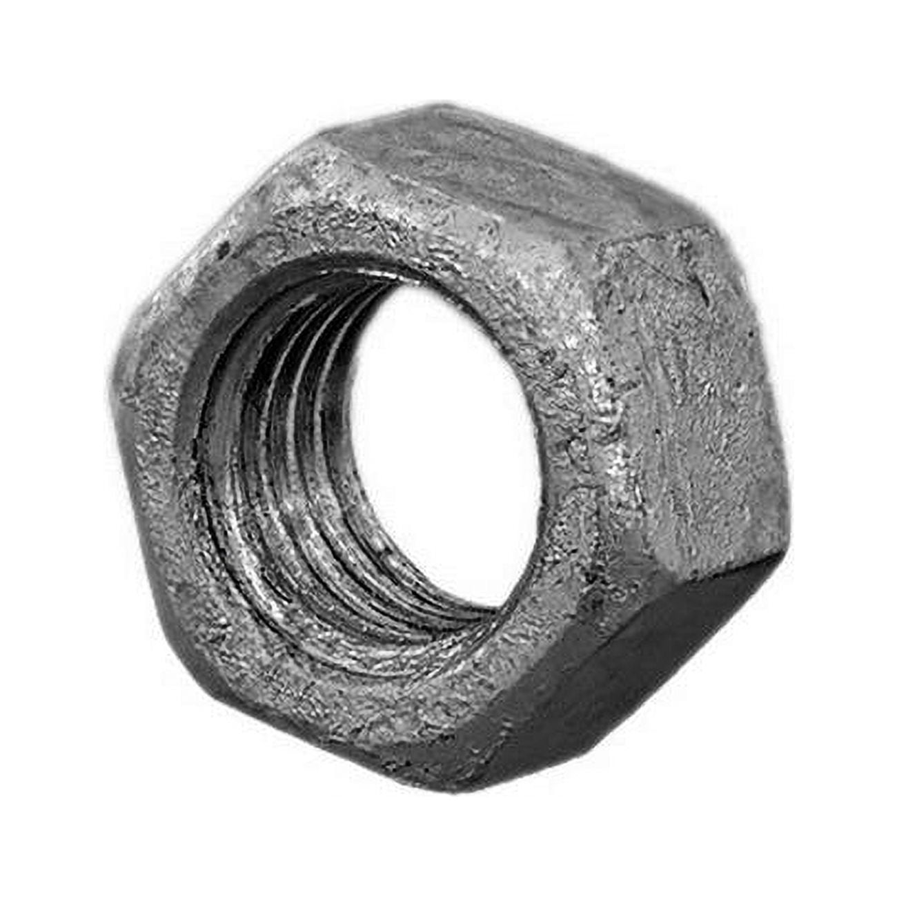 0.75 in. Nut for Flange Bolt