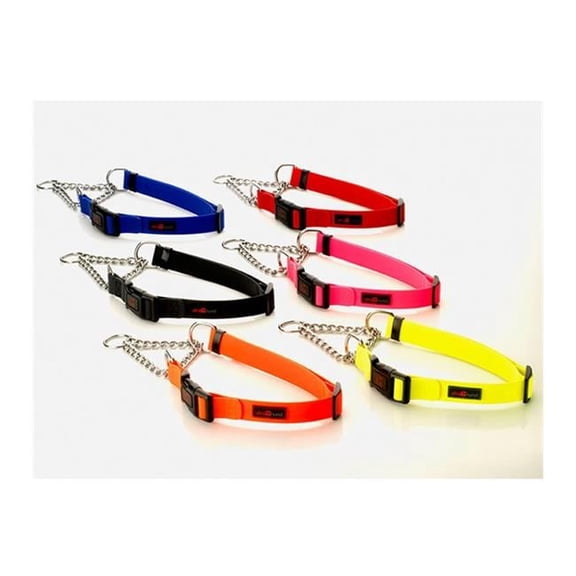 0.75 in. Play Martingale Collar, Red