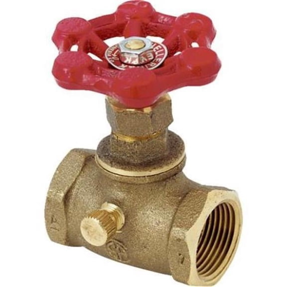 0.75 in. Stop Waste Valve - Brass