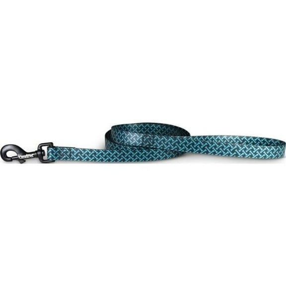 0.75 in. x 6 ft. Attitudz Bones Biothane Dog Lead