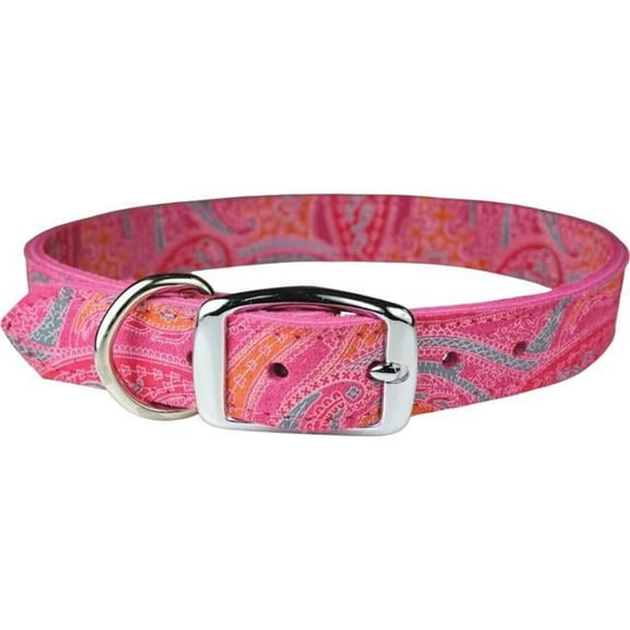 0.75 x 18 in. Paisley Dog Collar, Pink