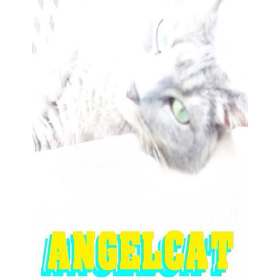 Angel Cat: Anime Manga Comic Book Ghost Soul Angel Heaven War Battle Good vs Evil Teenager Cat