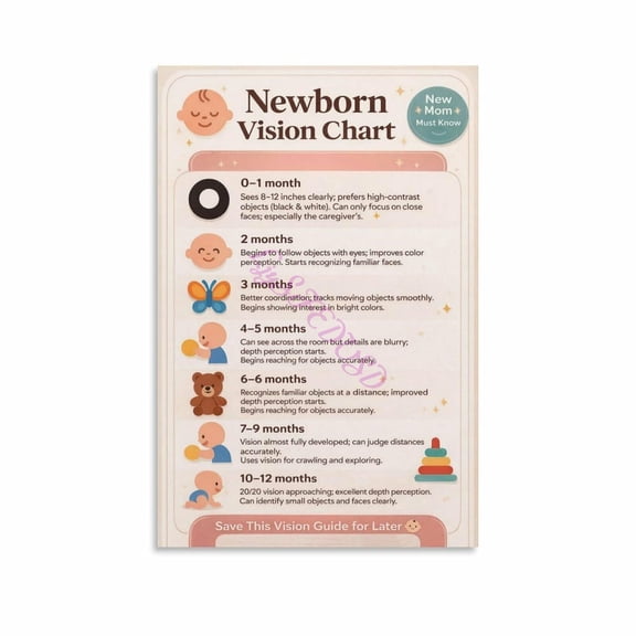 0 to 12 Months Newborn Baby Vision Development Chart Poster Canvas for Living Room Bedroom Decor