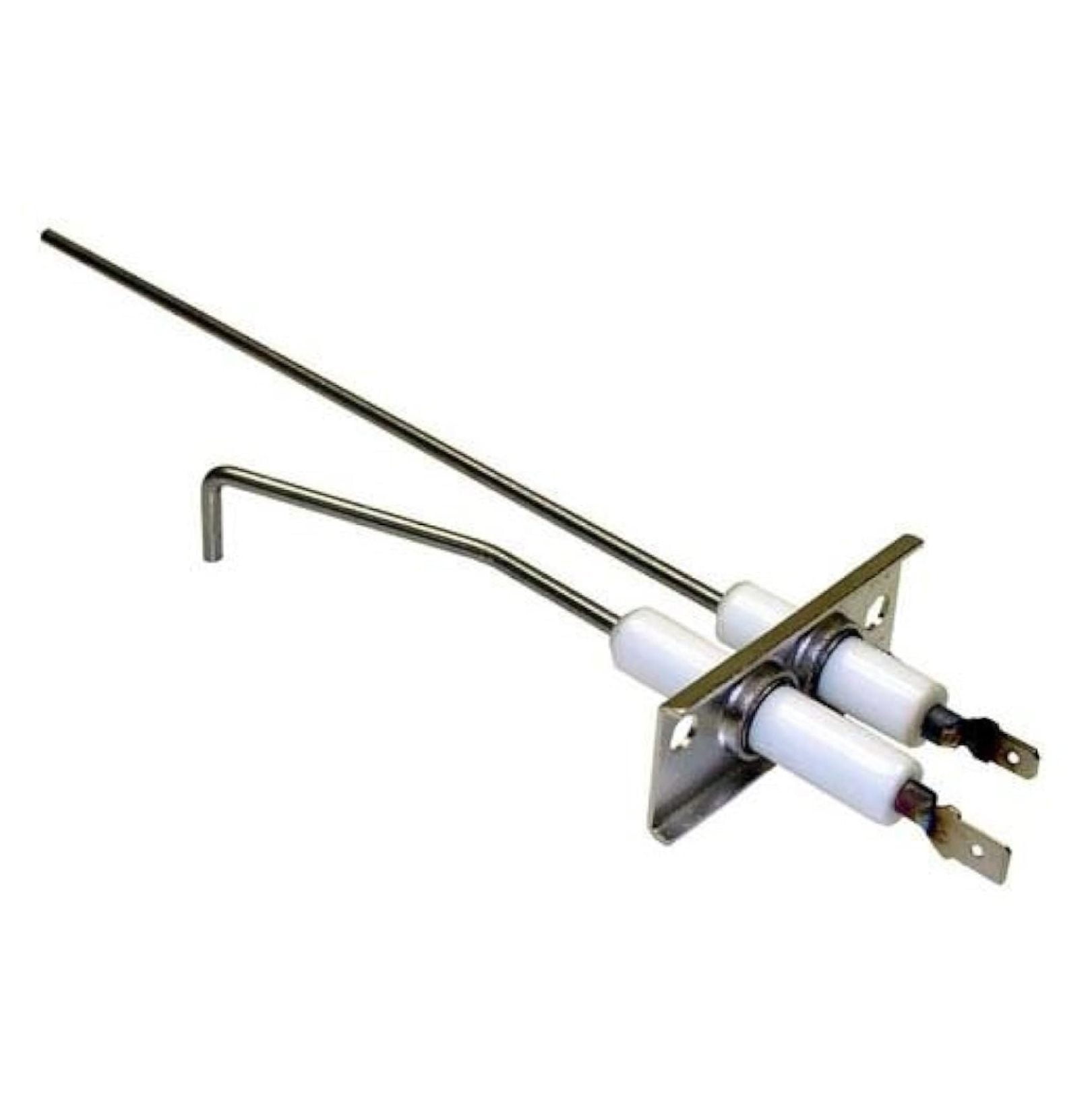 0042419400001 Ignitor/Flame Sensor Assembly