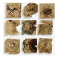 thumbnail image 1 of 04360-Uttermost-Bahati - Wall Decor (Set of 9)-16 Inches Tall and 16 Inches Wide, 1 of 8