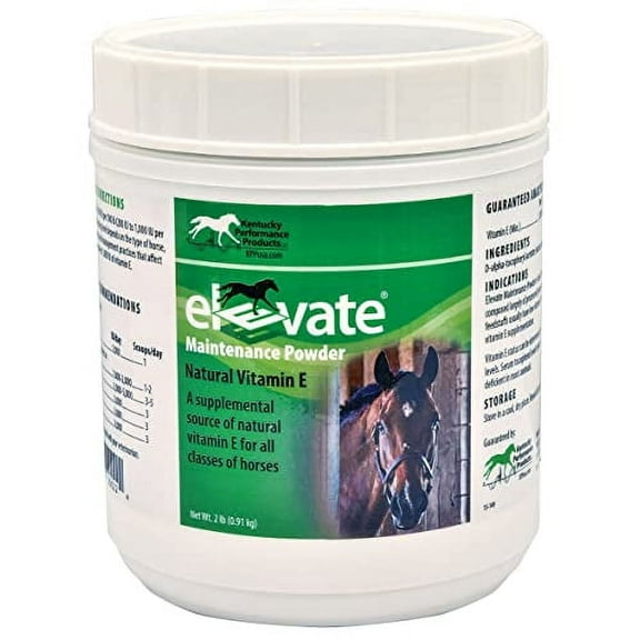 044097 Elevate Maintenance Powder Supplement for Horses, 2 lb