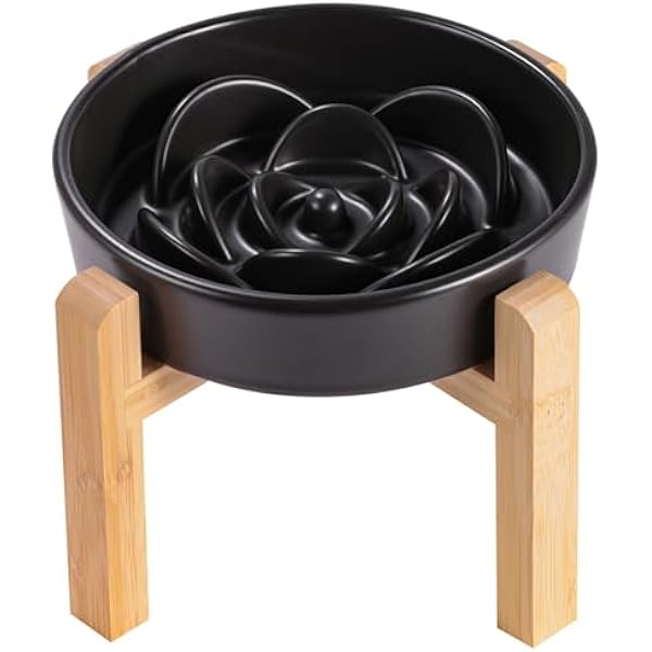 Curated visual reference: 0829 8 26 In Black Dog Bowl Slow Feeder Ceramic Photo Inspiration