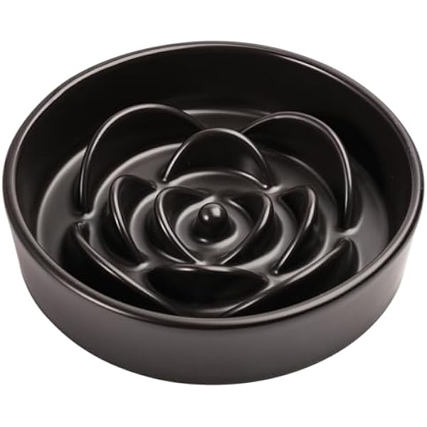 Visual Reference: 0829 8 26 In Black Dog Bowl Slow Feeder Ceramic