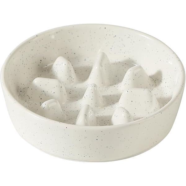 Photo inspiration: Fresh Look at 0829 Ceramic 6 1Inch Dog Bowl Slow Feeder For Fast