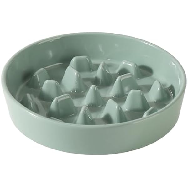 Photo inspiration: Fresh Look at 0829 Ceramic 9 5 Inch Dog Bowl Slow Feeder Slow