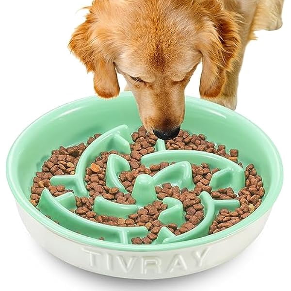 Beautiful view of Big Breed Dog Slow Feeder Bowls