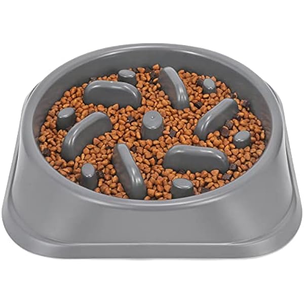 Photo inspiration: Visual Reference: 0829 Dog Feeder Slow Eating Pet Bowl Eco Friendly Non