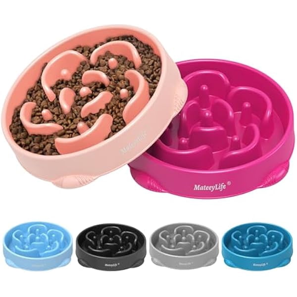0829 Large Slow Feeder Dog Bowls 2PCS, Anti-Choking Puzzle Dog Food ... - Big Breed Dog Slow Feeder Bowls