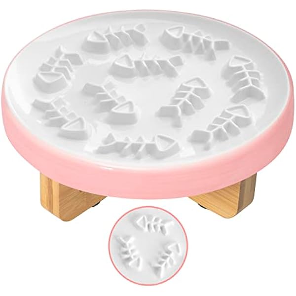 Photo inspiration: Excellent Nutrition Slow Feeder Bowls For Dogs With Allergies Reference: 0829 Raised Cat And Dog Slow Feeder Bowl With Stand