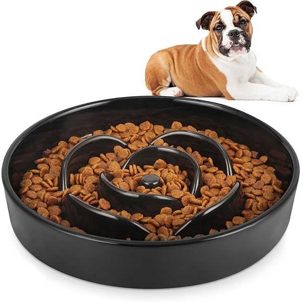 Picture of 0829 Slow Feeder Dog Bowls - Ceramic, 1.5 Cups, Small/Medium Breed ...