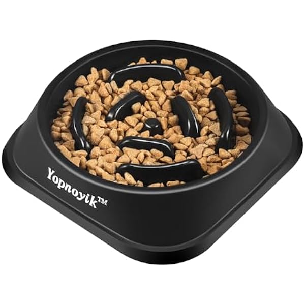 Photo inspiration: Fresh Look at 0829 Slow Feeder Dog Bowls For Healthy Eating Non Slip