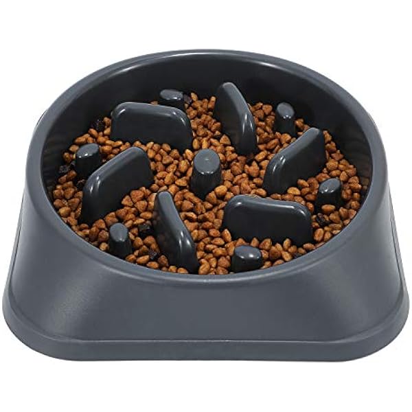 Picture of 0829 Slow Feeder Dog Bowls Slow Eating Pet Bowl Eco-Friendly Non-Toxic ...