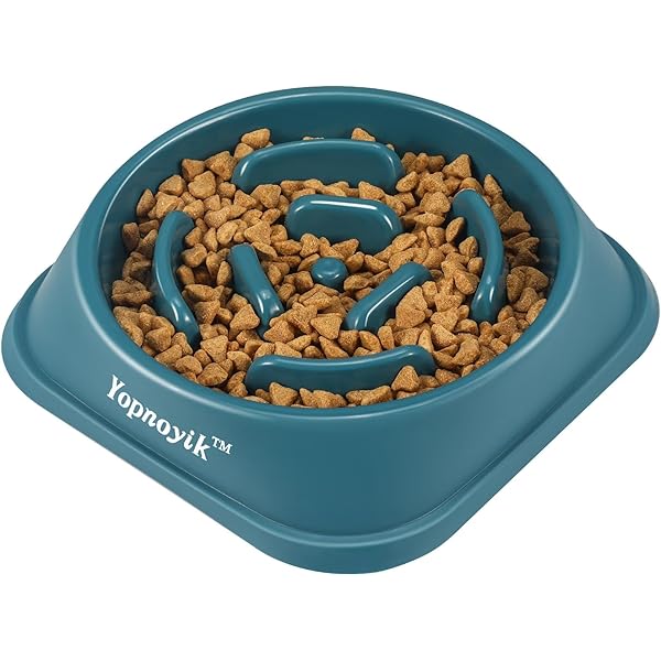 Visual Reference: 0829 Slow Feeder Dog Bowls For Healthy Eating Non Slip
