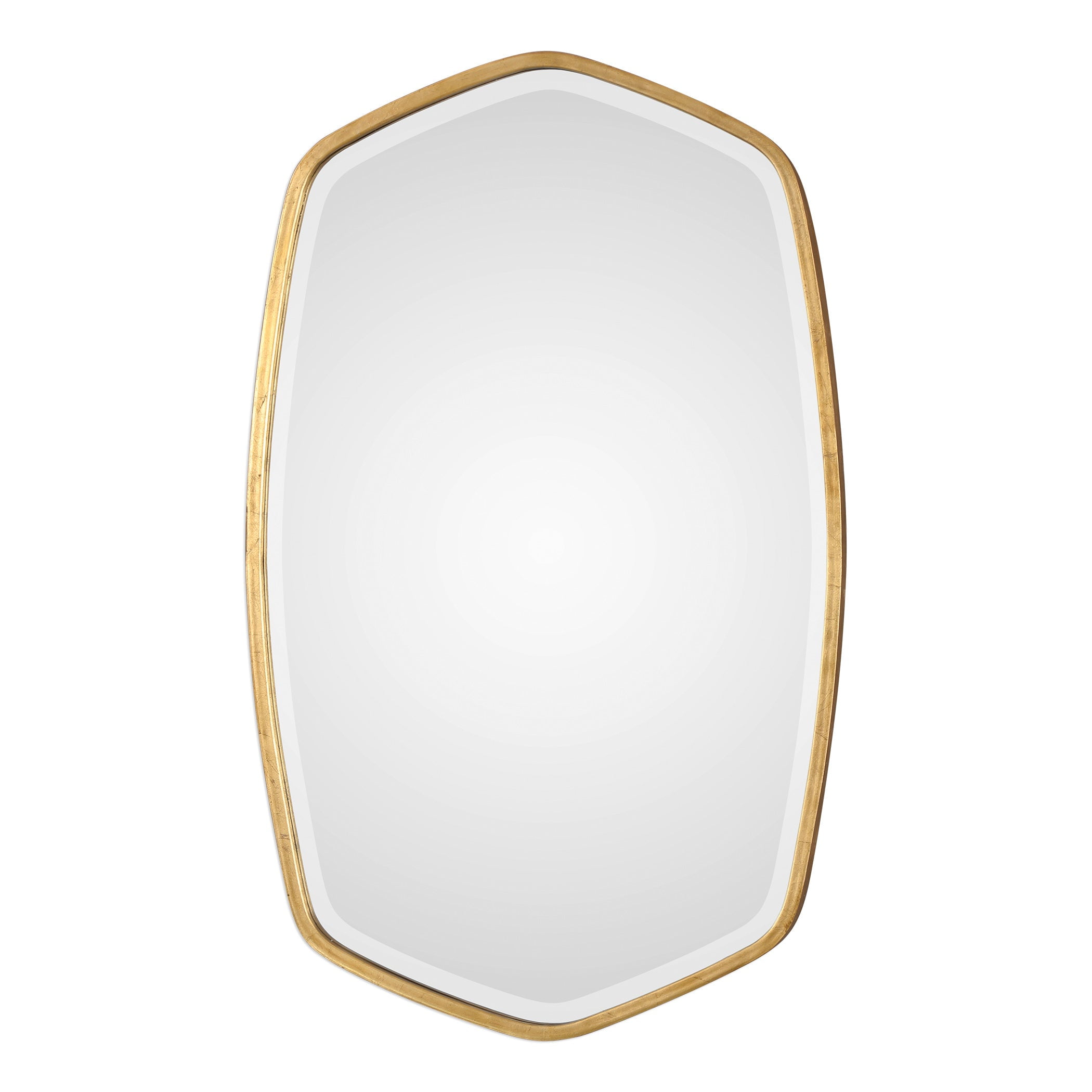 Eleganza Antique Gold Leaf Oval Wall Mirror 22" x 36"