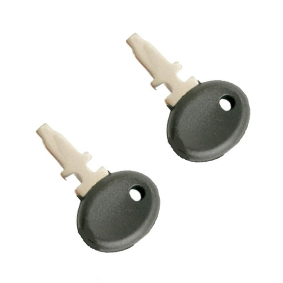 Qty 2: Ignition Switch Key(s) Fits Ford/New Holland Replaces 09918786