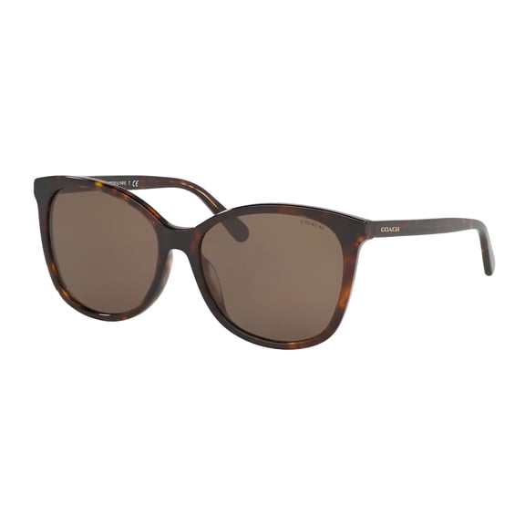 0HC8271U-Coach Sun Frame