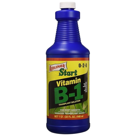 1 0-2-0 B1 Start, 1 quart